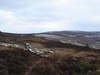 Barker's Ridge 
