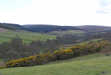 Upper Baysdale from Kildale Moor
