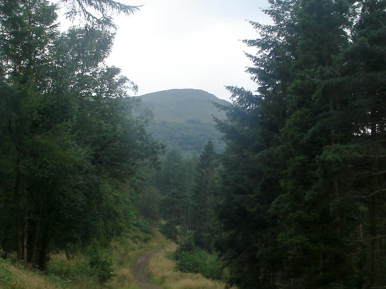 Broughton Plantation