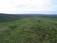 Burn Howe Dale