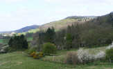 Burtis Wood