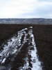 Clough Gill Top 