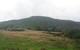 Cringle Moor
