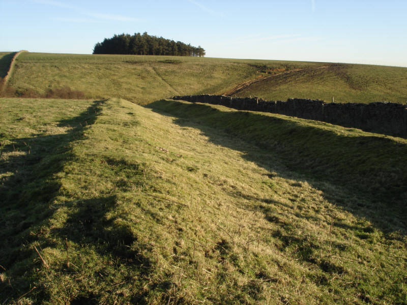 Cross Dike at Far Black Rigg