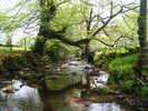 Hartoft Beck