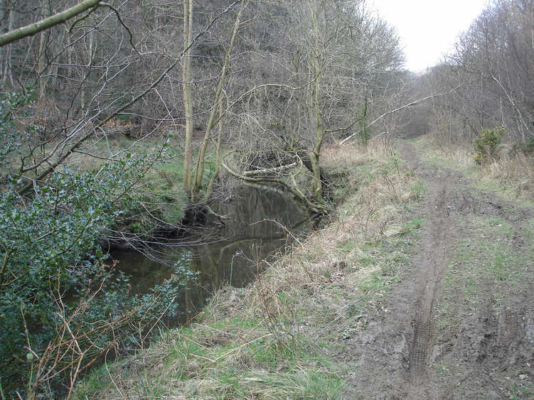 Harwood Dale Beck