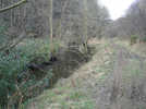 Harwood Dale Beck