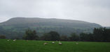 Hawnby Hill from the west