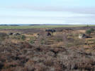 Link to picture of Low Bridestones