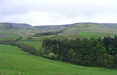 Kepwick Moor