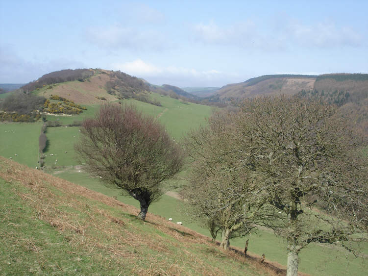 Lang Dale and Langdale Rigg