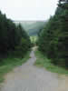 Little Ayton Moor