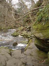 Mallyan Spout
