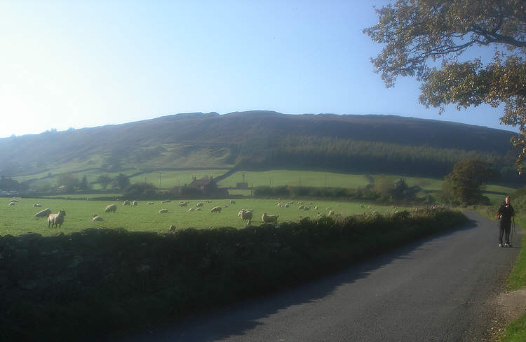 Mill Lane Farndale