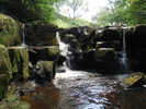 Waterfall Gallery
