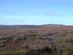 The Open Moors