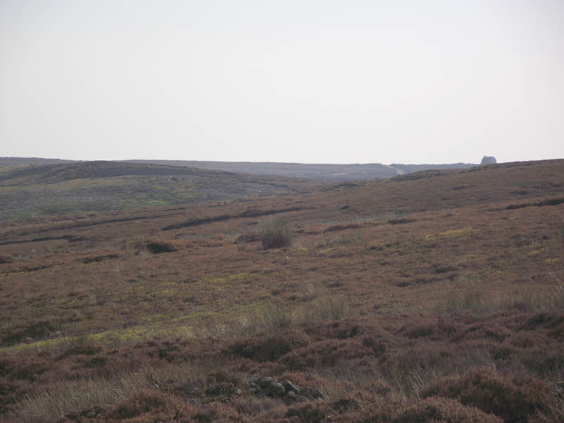 Pamperdale Moor 