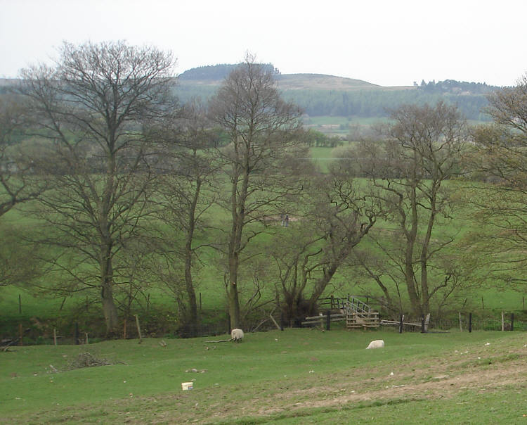 Low Thorgill, Rosedale 