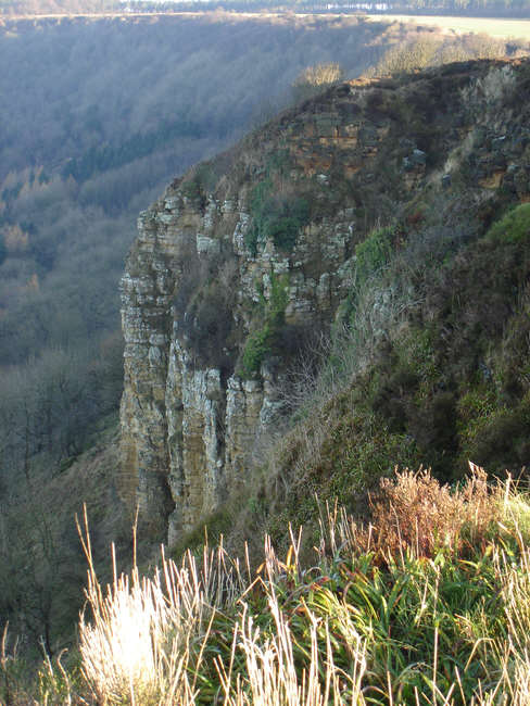 Roulston Scar