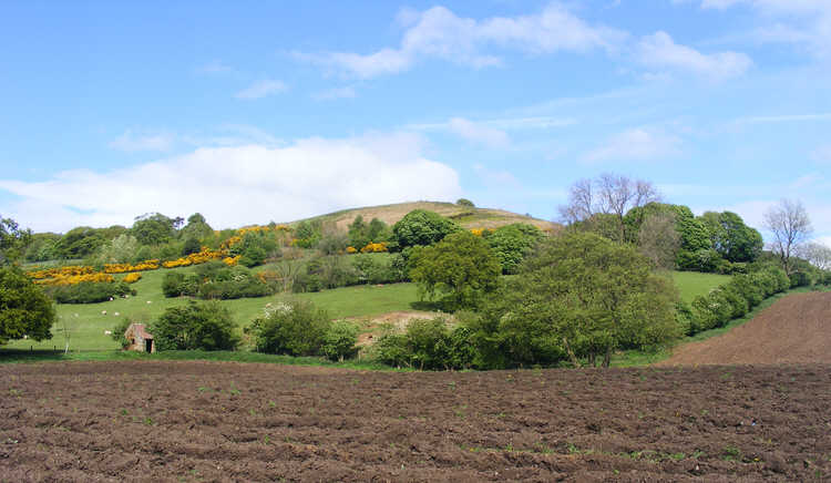 Ruebury Hill 