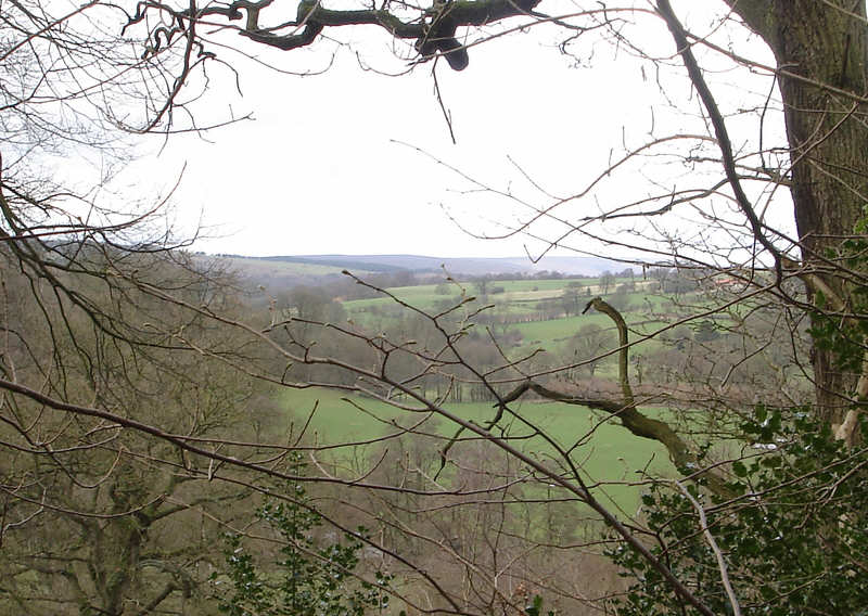Swainby