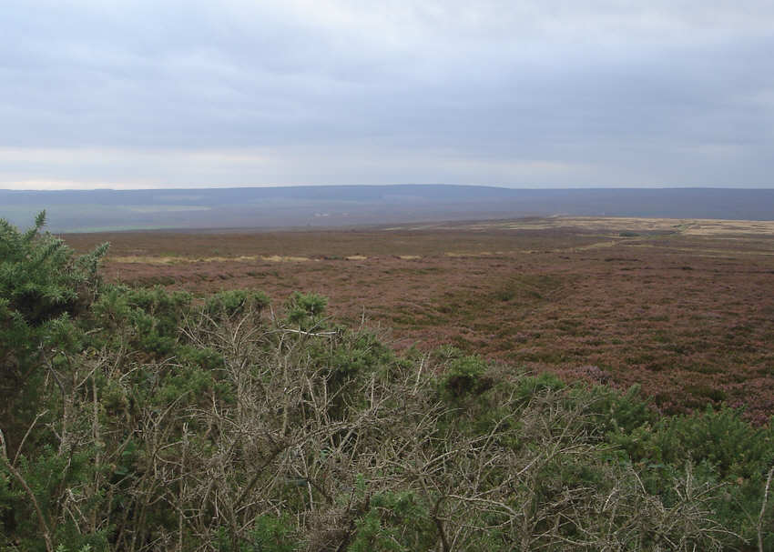 Stony Marl Moor