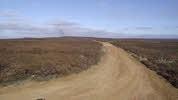 Whorlton Moor Gallery