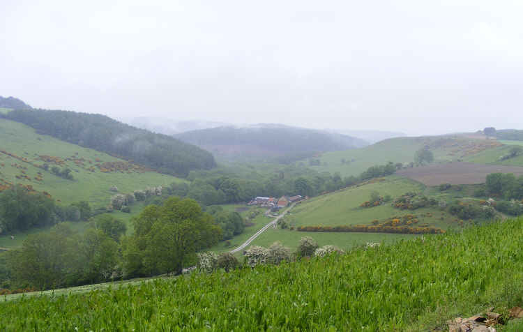 Thornton Dale, looking towards High Paper Mill Farm 