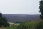 Tranmire Plain