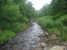 Tripsdale Beck