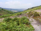 Upper Westerdale
