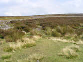 Point at which the path leaves the railway