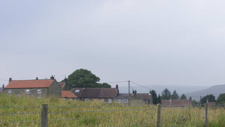 Roofline of Westerdale 