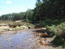 Wheeldale Beck