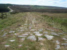 Wheeldale Roman Road 