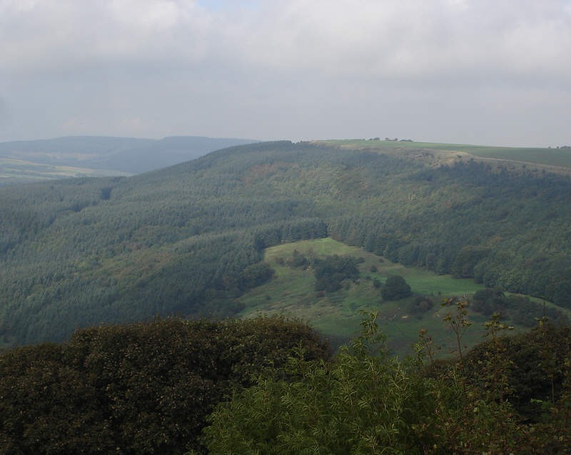 The view north from above Whitestone Cliff