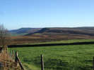 Whorlton Moor 