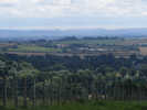 Wolds from Appleton
