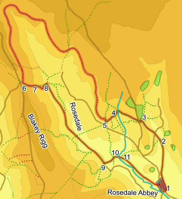 Rosedale